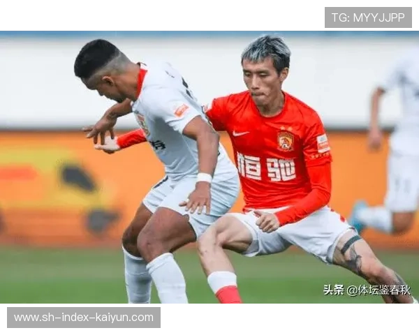 浙江队补强中场，整体实力均衡